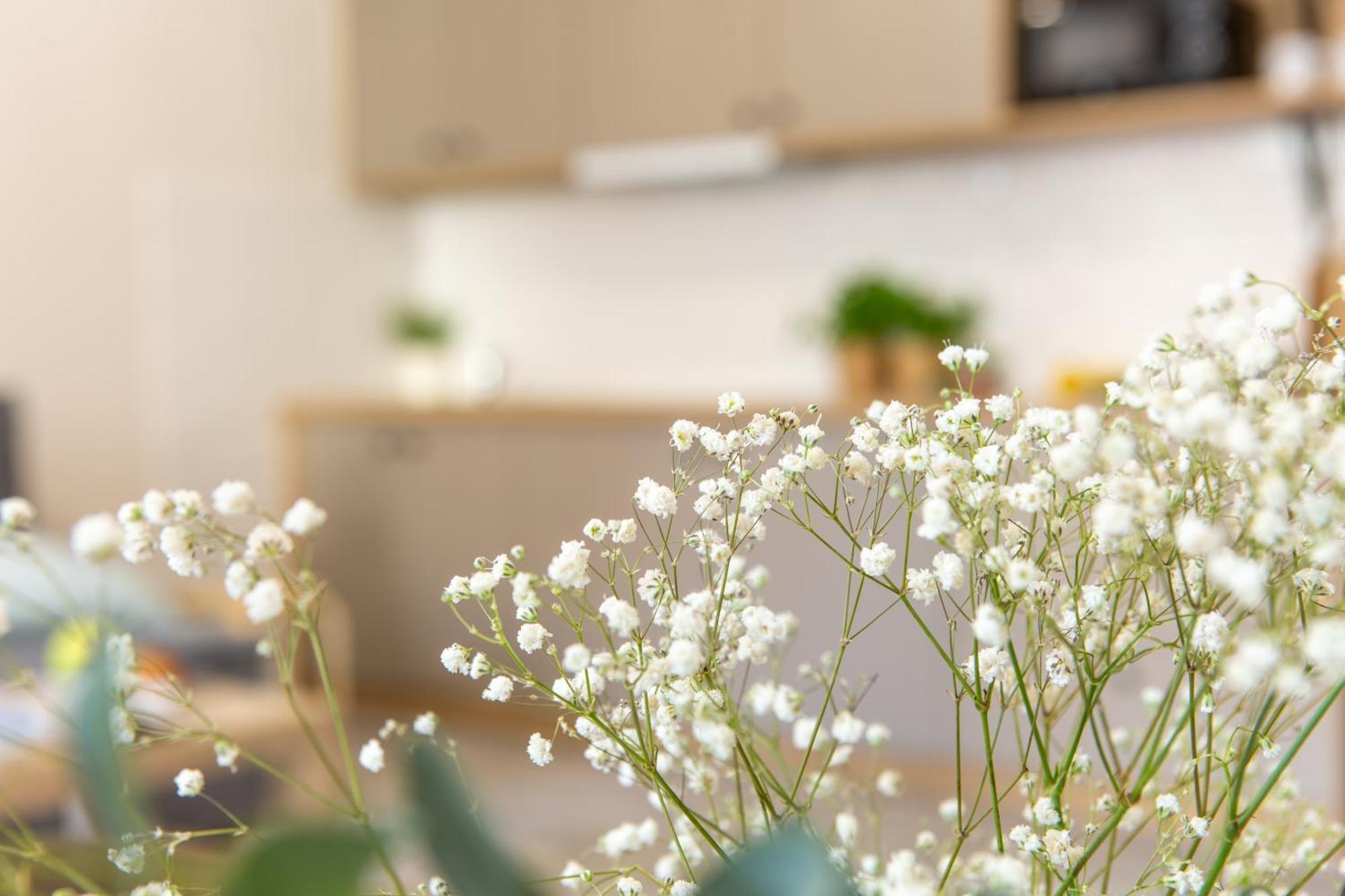Apartamenty Kdn Na Rysiej Katoviçe Dış mekan fotoğraf